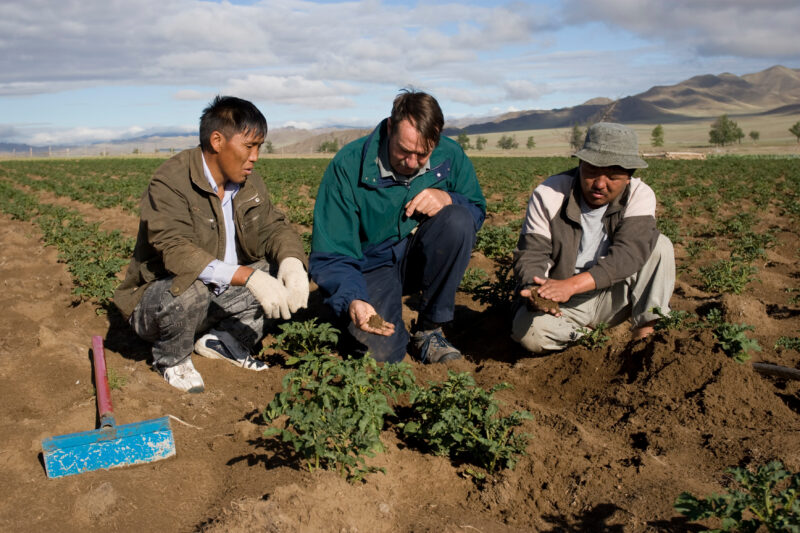 Agricultural Instruction in Mongolia — Stock image of people learning new agricultural skills in Mongolia — Mongolia, agricultural instruction, agriculture, ...