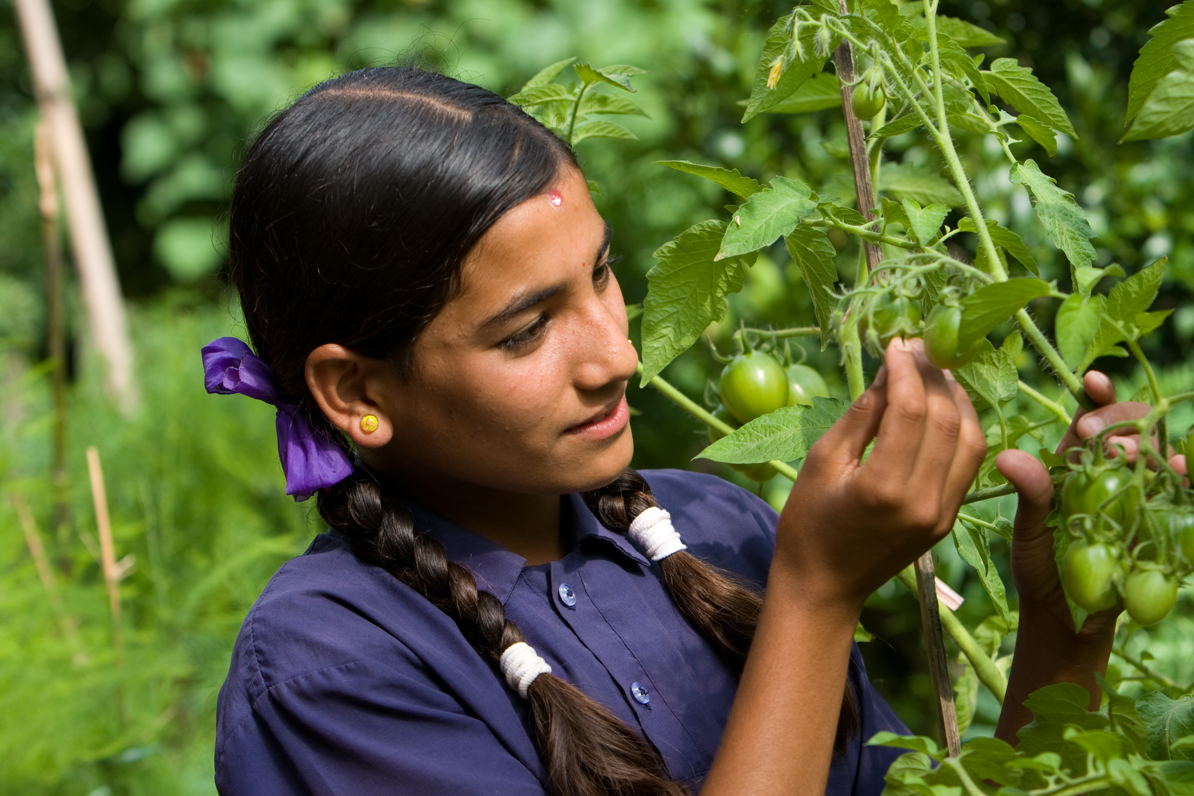 Growing Vegetables in Pots