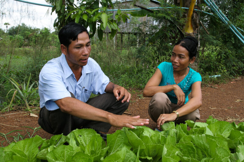 Agricultural Instruction in Cambodia — Stock Image of rural farmers getting agricultural instruction from an ADRA specialist. — Cambodia, farming, agricultur...