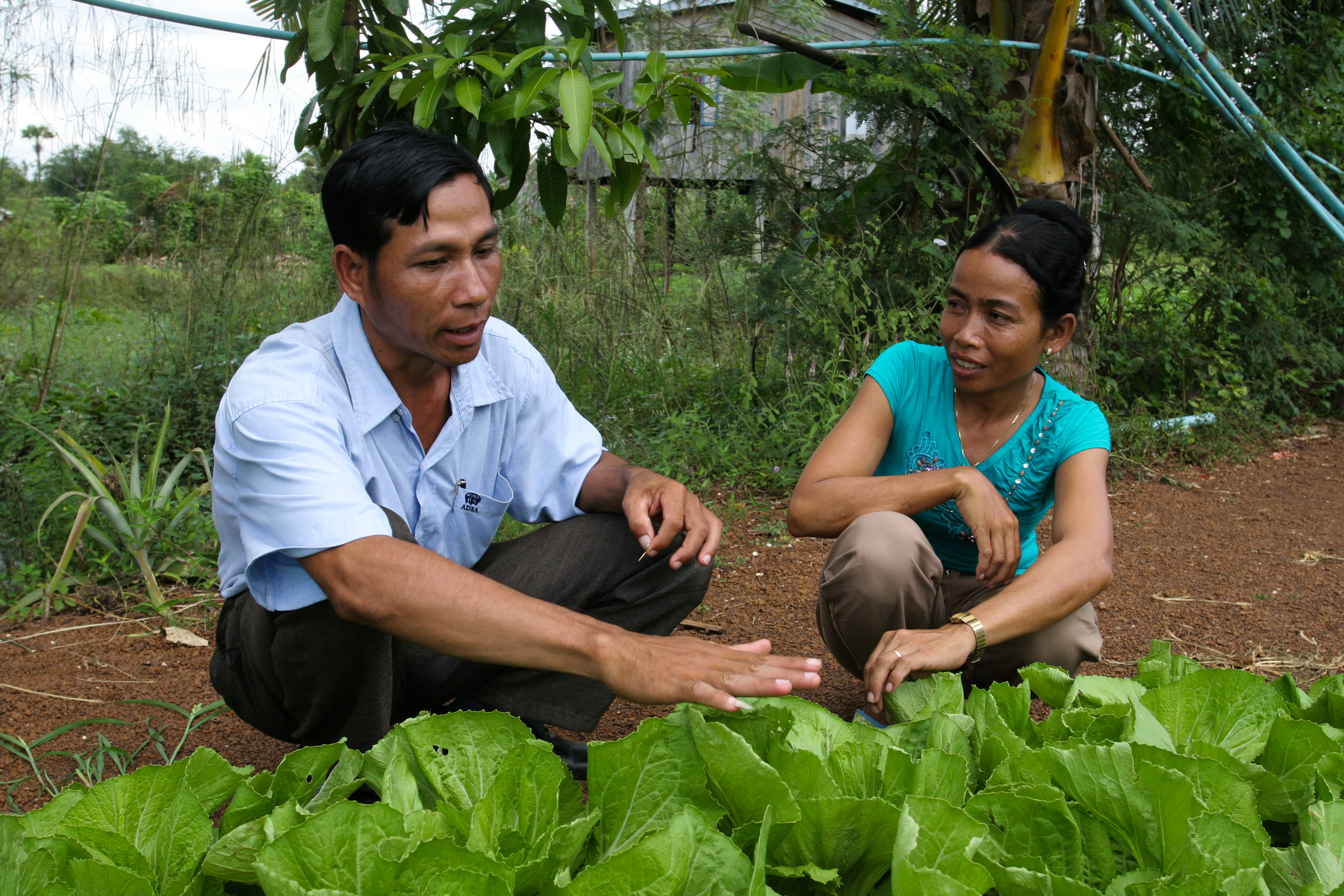 Agricultural Instruction in Cambodia