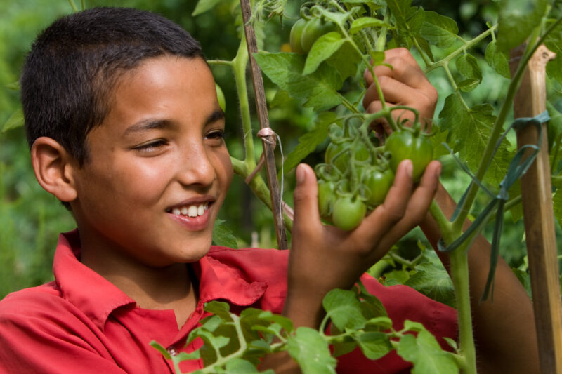 Growing Vegetables in Pots — Villagers in Nepal learn how to grow vegetables in pots. — Nepal, food, food security, pot gardening