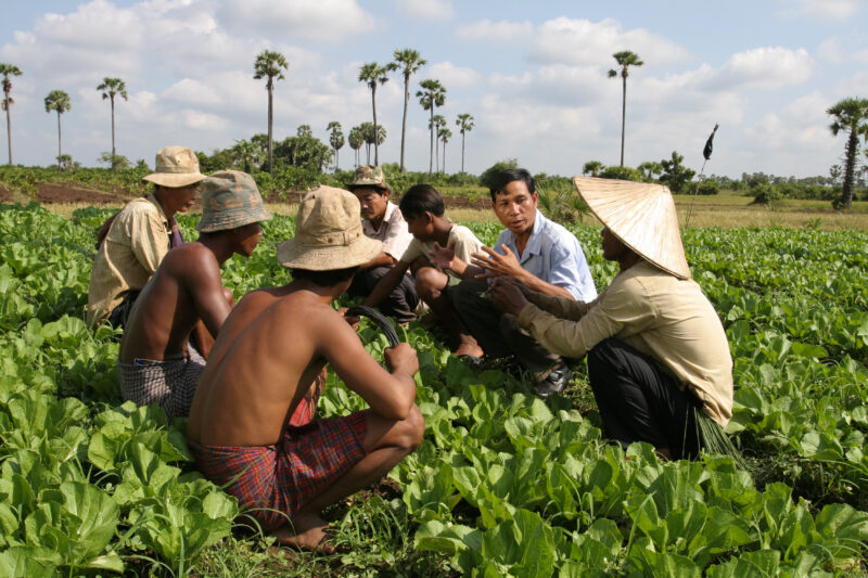 Agricultural Instruction in Cambodia — Stock Image of rural farmers getting agricultural instruction from an ADRA specialist. — Cambodia, farming, agricultur...