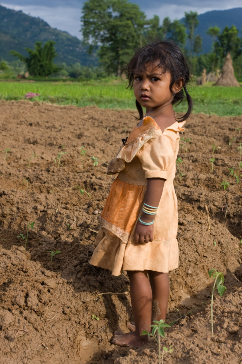Planting Time in Nepal — Farmer in Nepal plants his field — Nepal, farming, gardening, planting, food