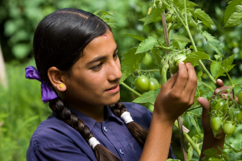 Growing Vegetables in Pots — Villagers in Nepal learn how to grow vegetables in pots. — Nepal, food, food security, pot gardening