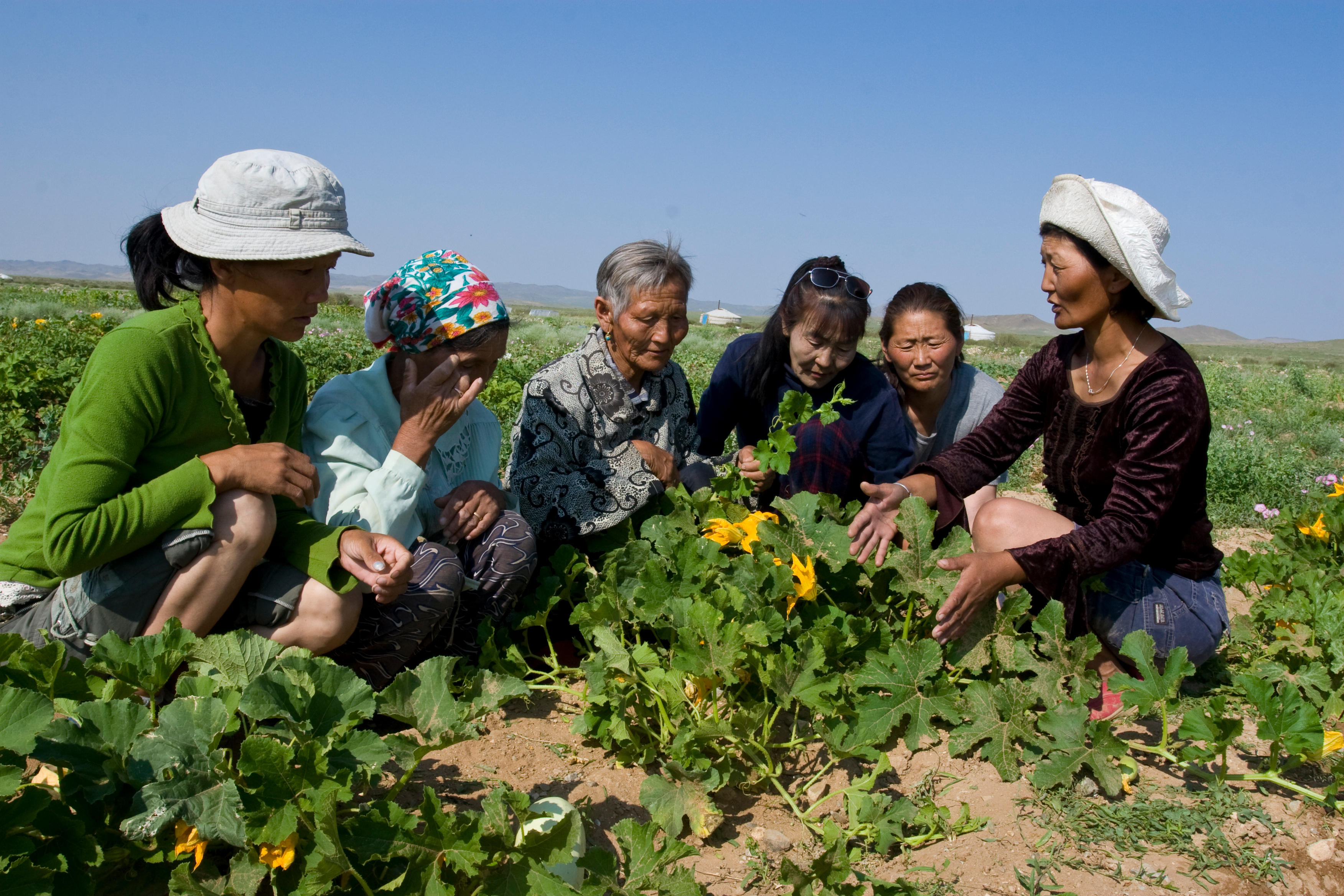 Agricultural Instruction in Mongolia