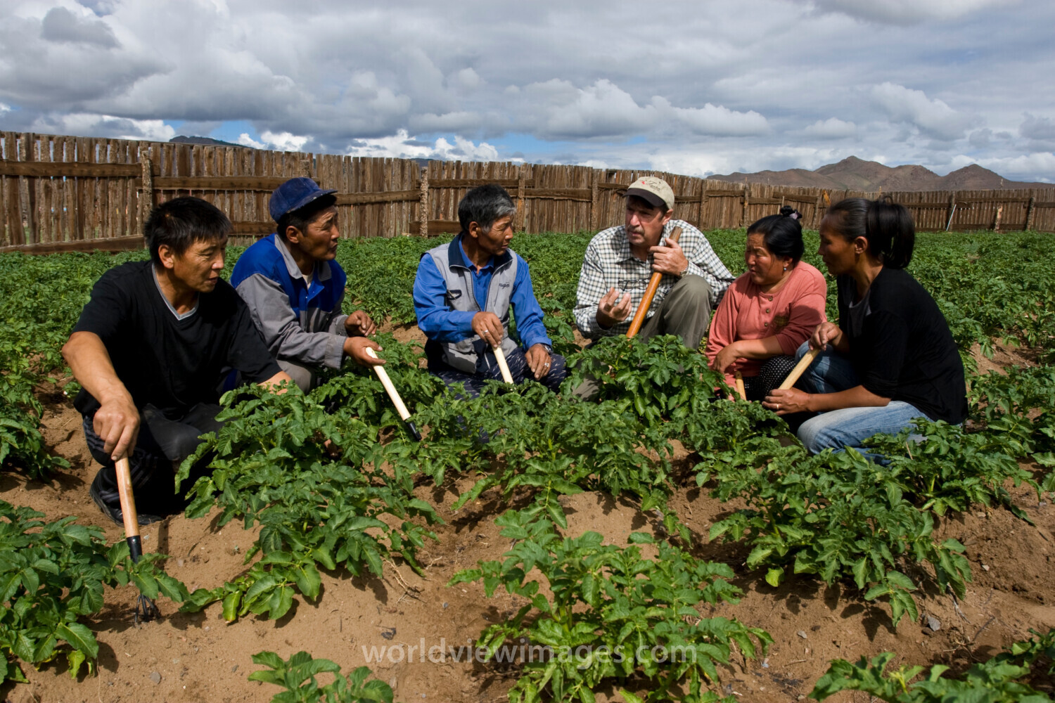 Agricultural Instruction in Mongolia