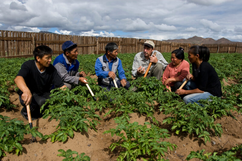 Agricultural Instruction in Mongolia — People in Mongolia learn new agricultural methods in Mongolia — Mongolia, agricultural instruction, agriculture, food ...