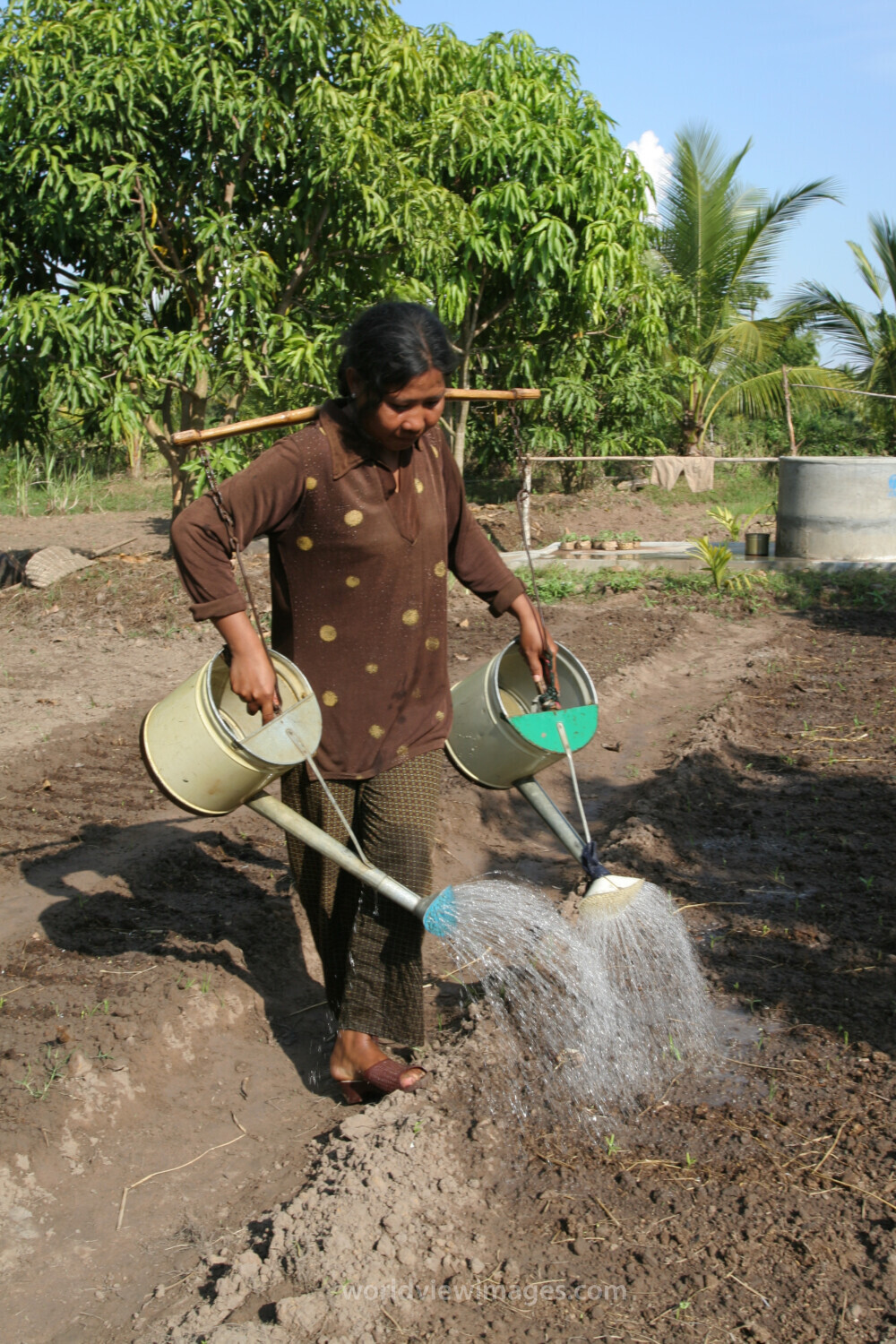 Watering Garden in Cambodia