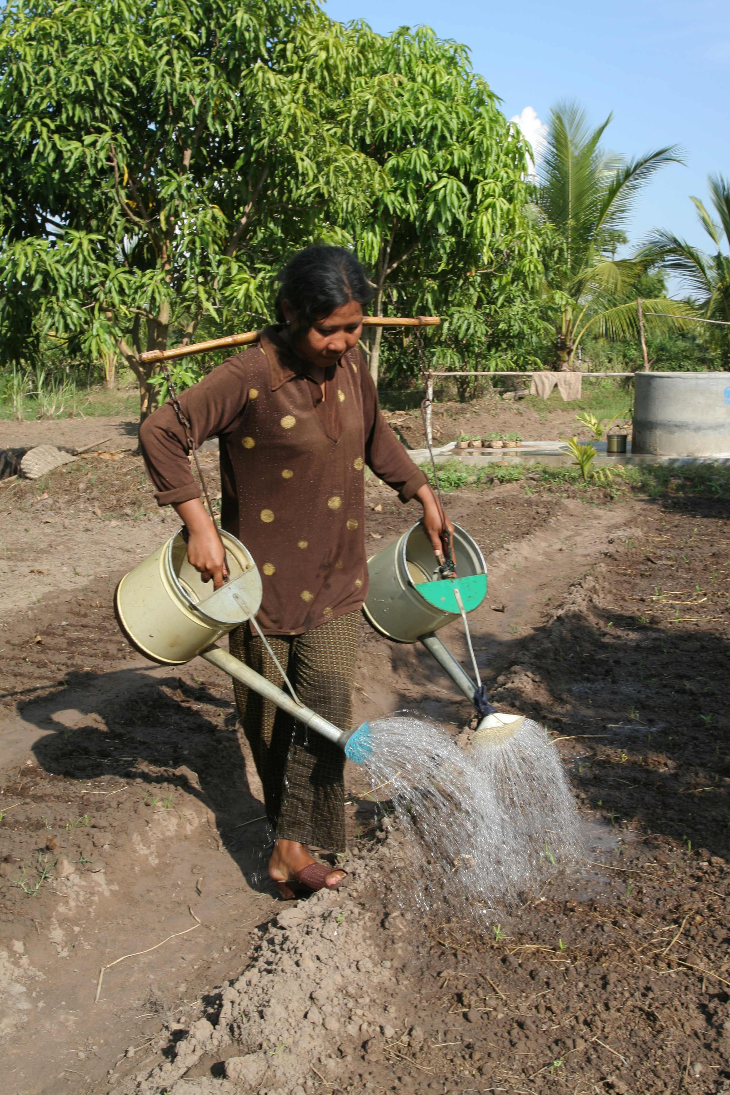 Watering Garden in Cambodia