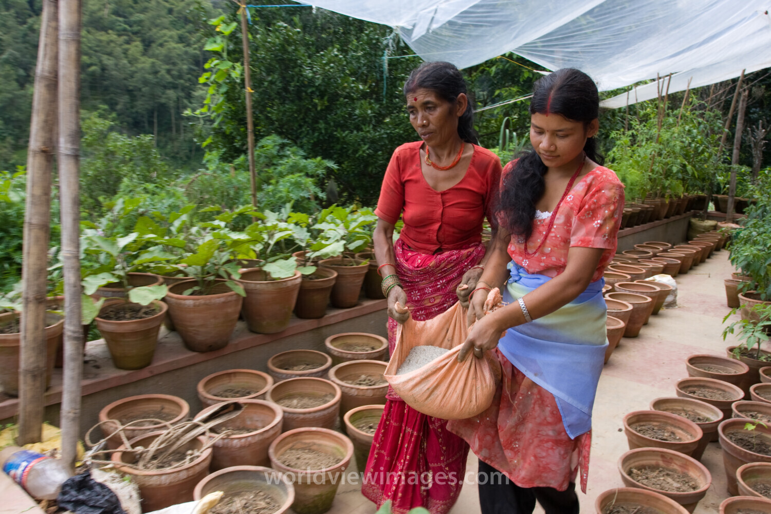 Pot Gardening in Nepal