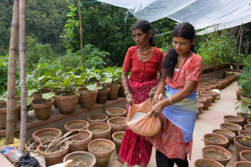 Pot Gardening in Nepal — Villagers in Nepal learn how to grow vegetables in pots. — Nepal, food, food security, pot gardening