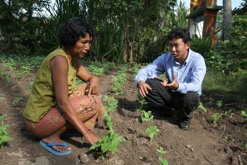 Agricultural Instruction in Cambodia — Stock Image of rural farmers getting agricultural instruction from an ADRA specialist. — Cambodia, farming, agricultur...