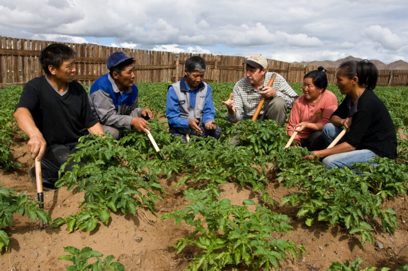 Agricultural Instruction in Mongolia — People in Mongolia learn new agricultural methods in Mongolia — Mongolia, agricultural instruction, agriculture, food ...