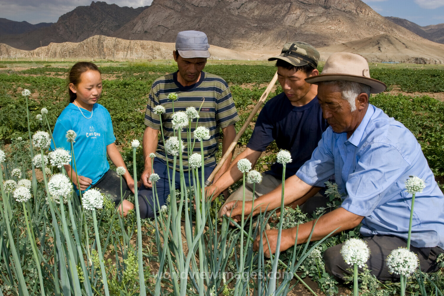 Agricultural Instruction in Mongolia