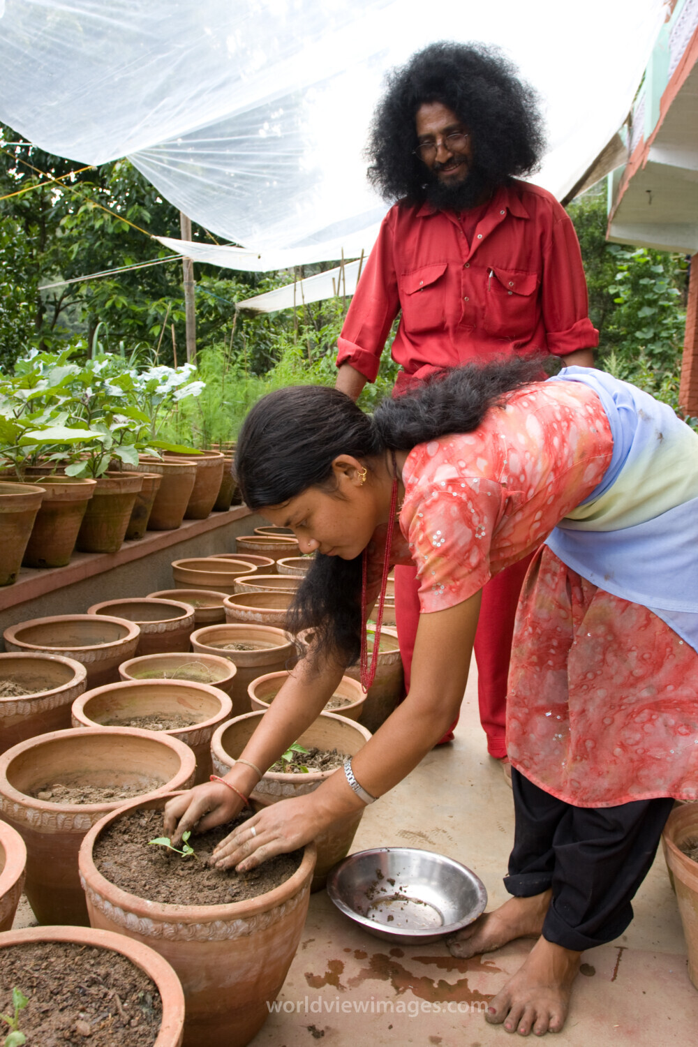 Pot Gardening in Nepal