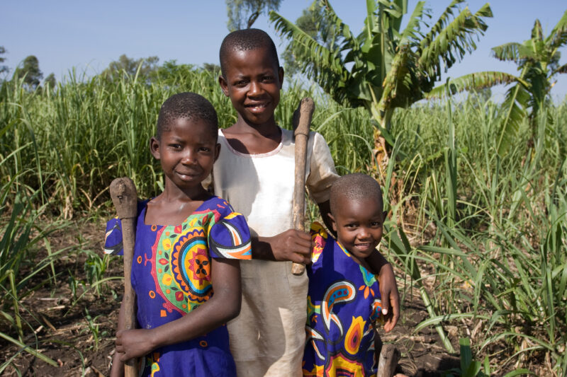 Working in Garden in Kenya — Children work in the family garden on a remote farm in Kenya — ADRA, AID, Africa, Assistance, Development