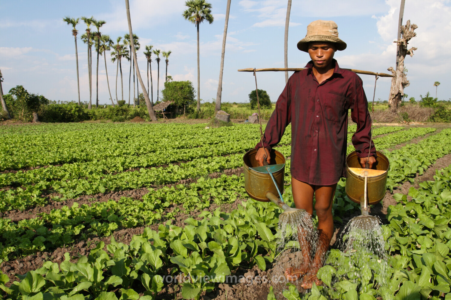 Watering Garden by Hand