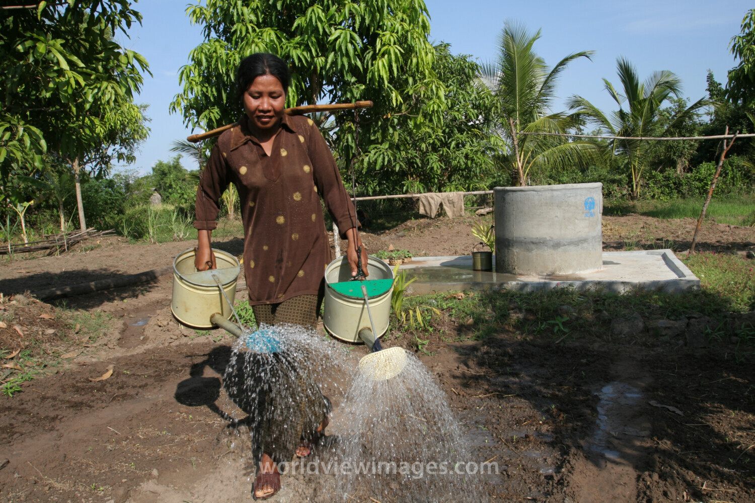 Watering Garden in Cambodia