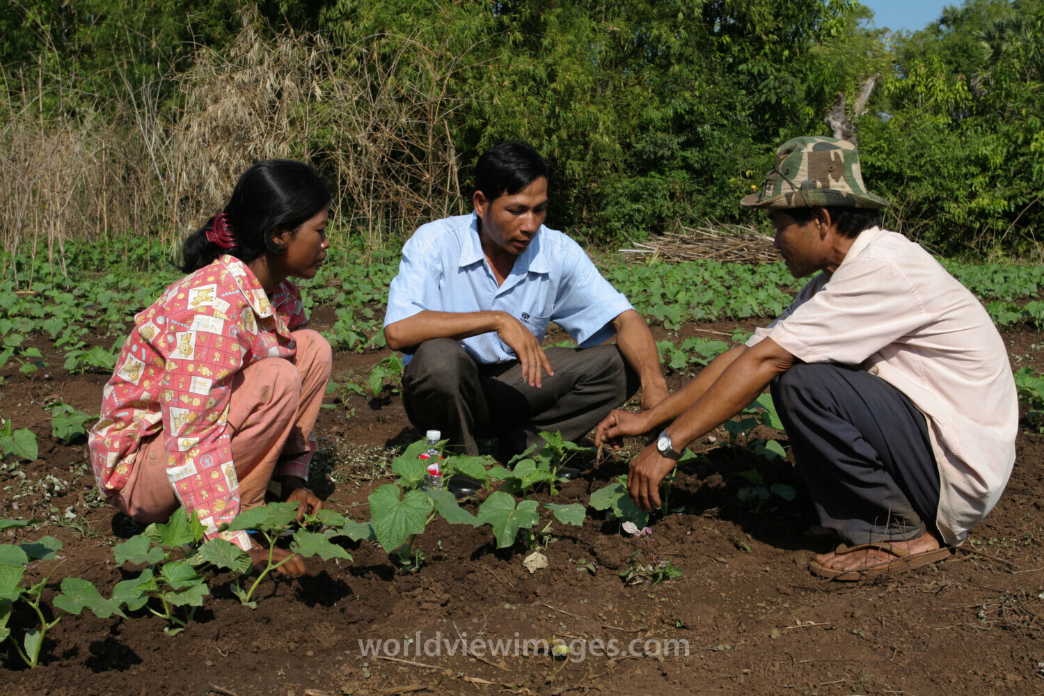 Agricultural Instruction in Cambodia