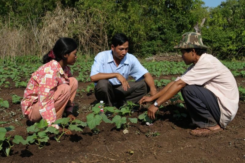 Agricultural Instruction in Cambodia — Stock Image of rural farmers getting agricultural instruction from an ADRA specialist. — Cambodia, farming, agricultur...