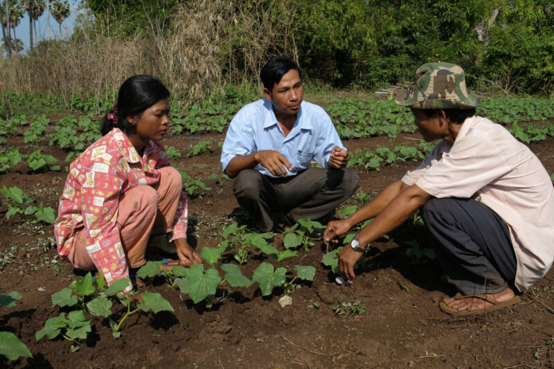 Agricultural Instruction in Cambodia — Stock Image of rural farmers getting agricultural instruction from an ADRA specialist. — Cambodia, farming, agricultur...
