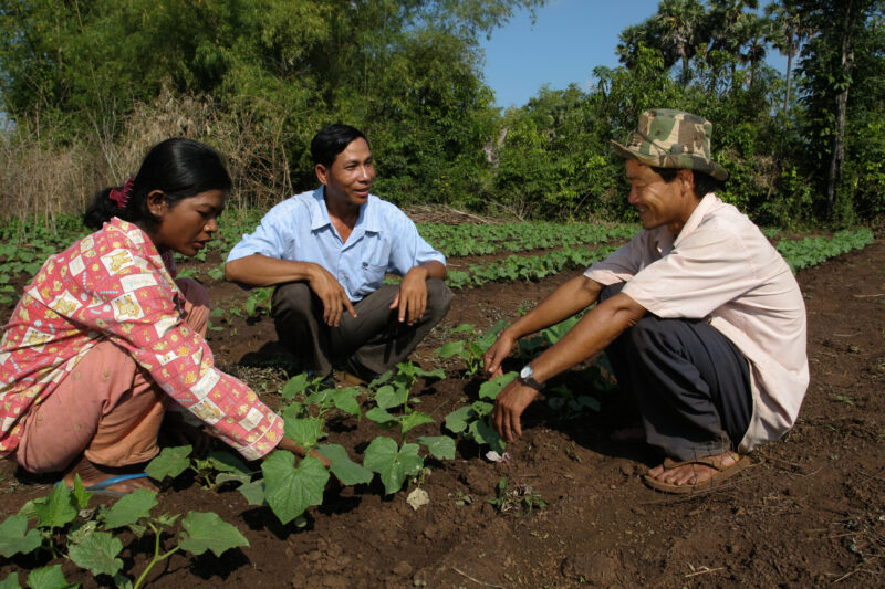 Agricultural Instruction in Cambodia — Stock Image of rural farmers getting agricultural instruction from an ADRA specialist. — Cambodia, farming, agricultur...