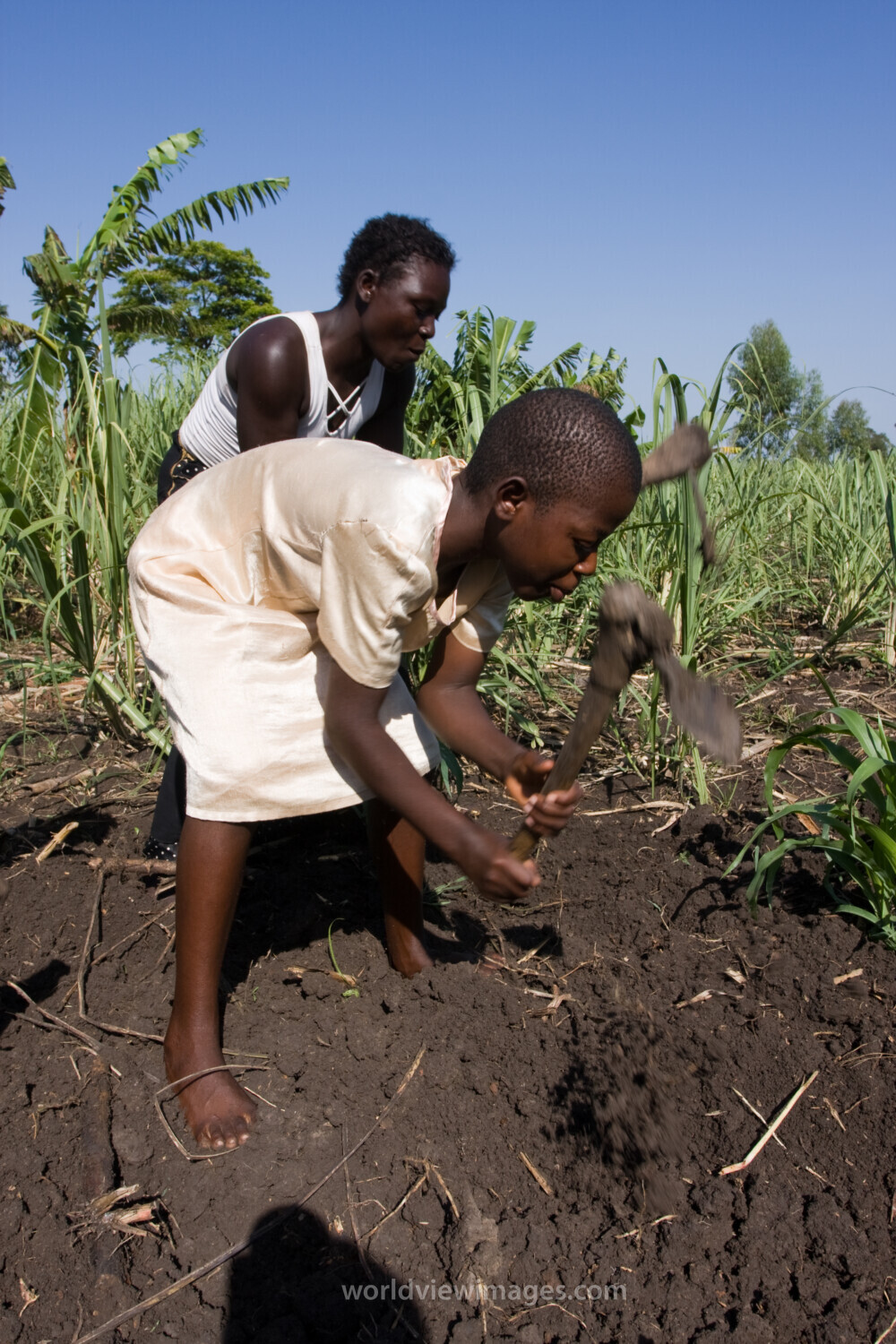 Working in Garden in Kenya