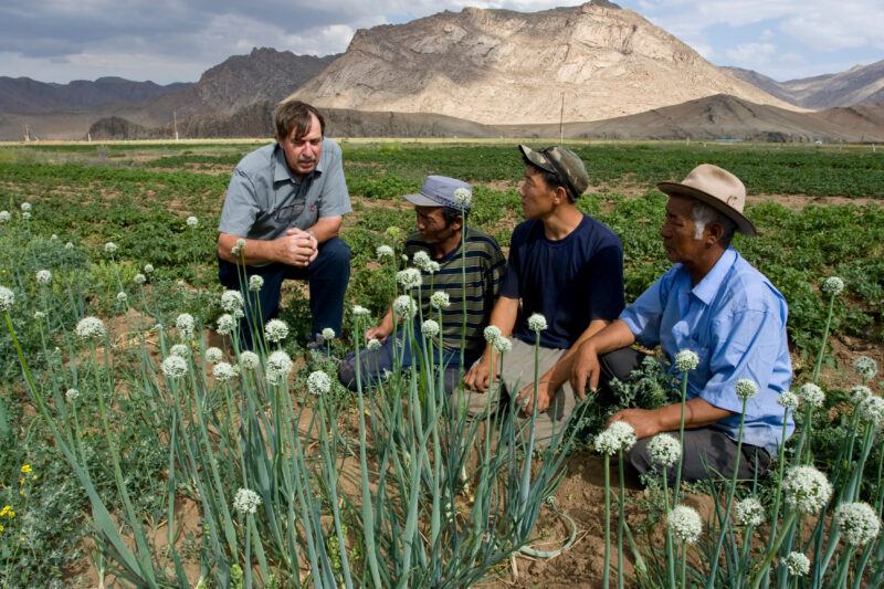 Agricultural Instruction in Mongolia — Stock image of people learning new agricultural skills in Mongolia — Mongolia, agricultural instruction, agriculture, ...