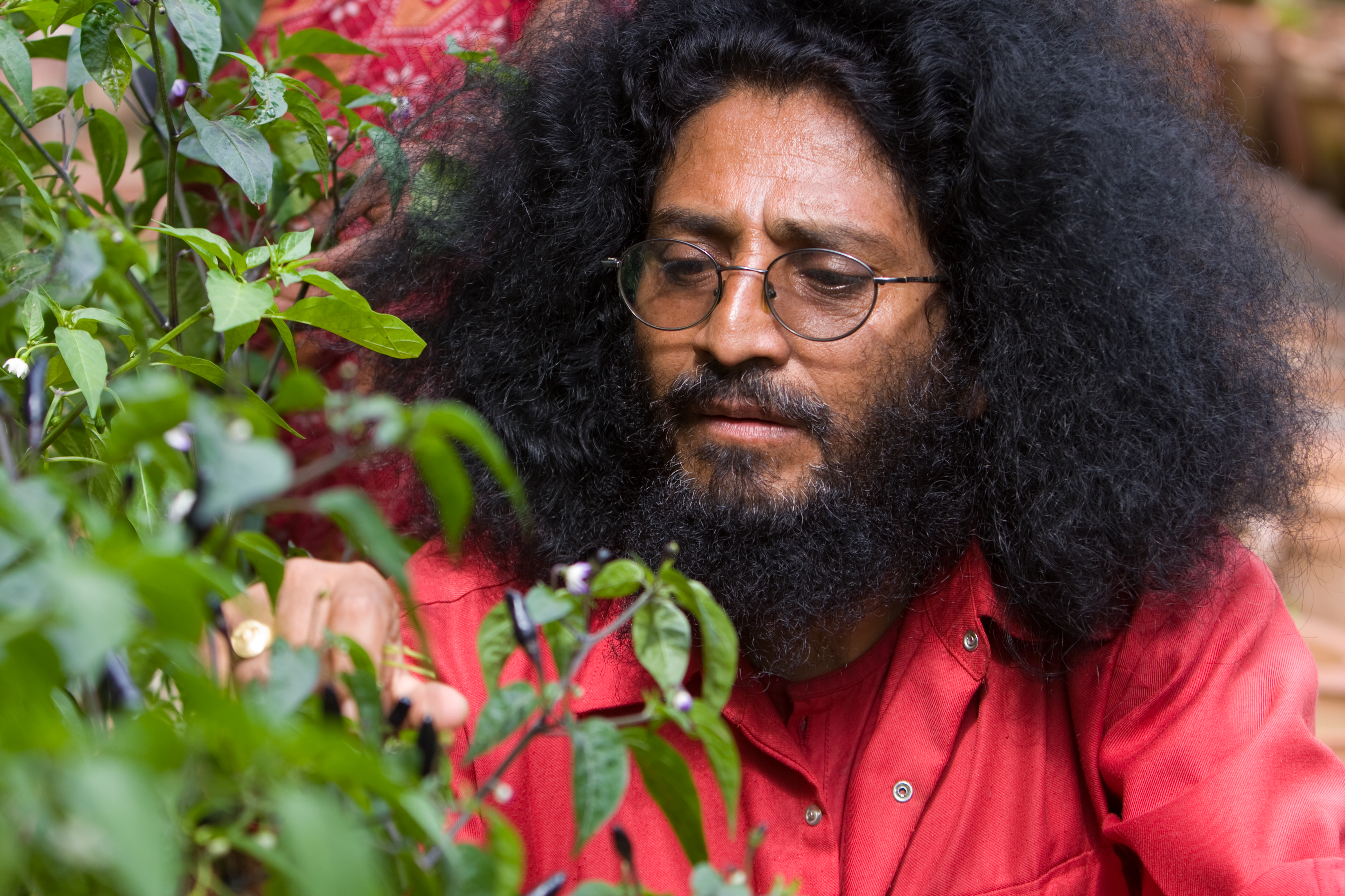 Growing Vegetables in Pots