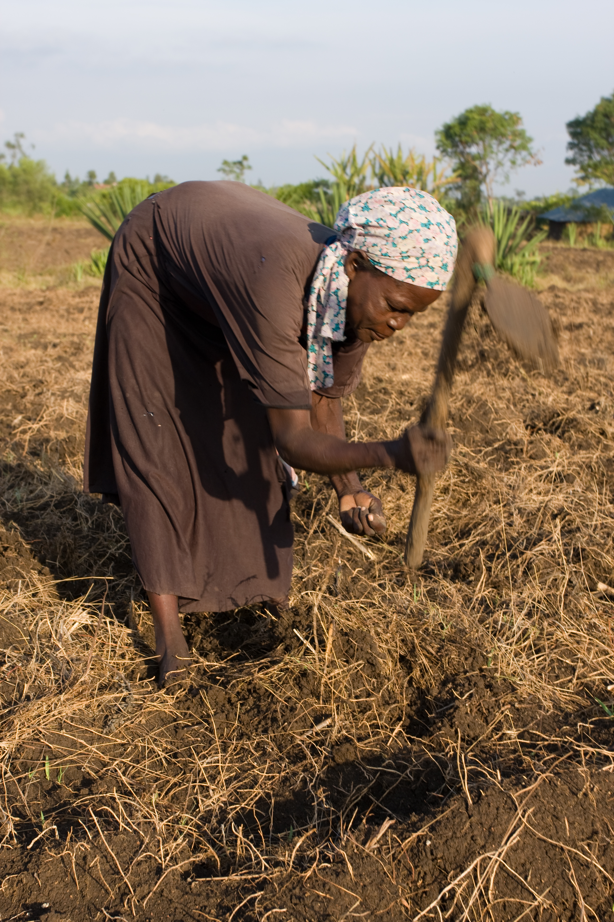 Planting time in Kenya