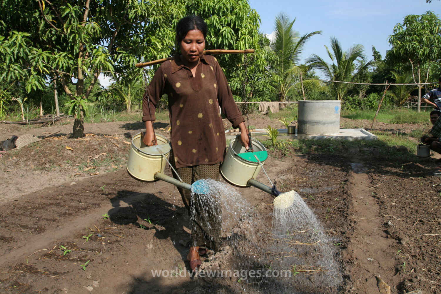 Watering Garden in Cambodia