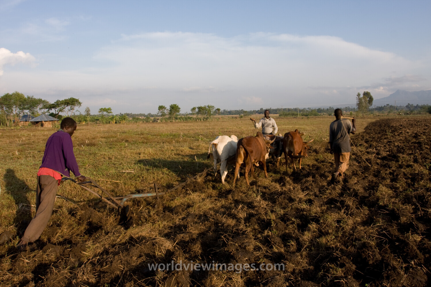 Planting time in Kenya