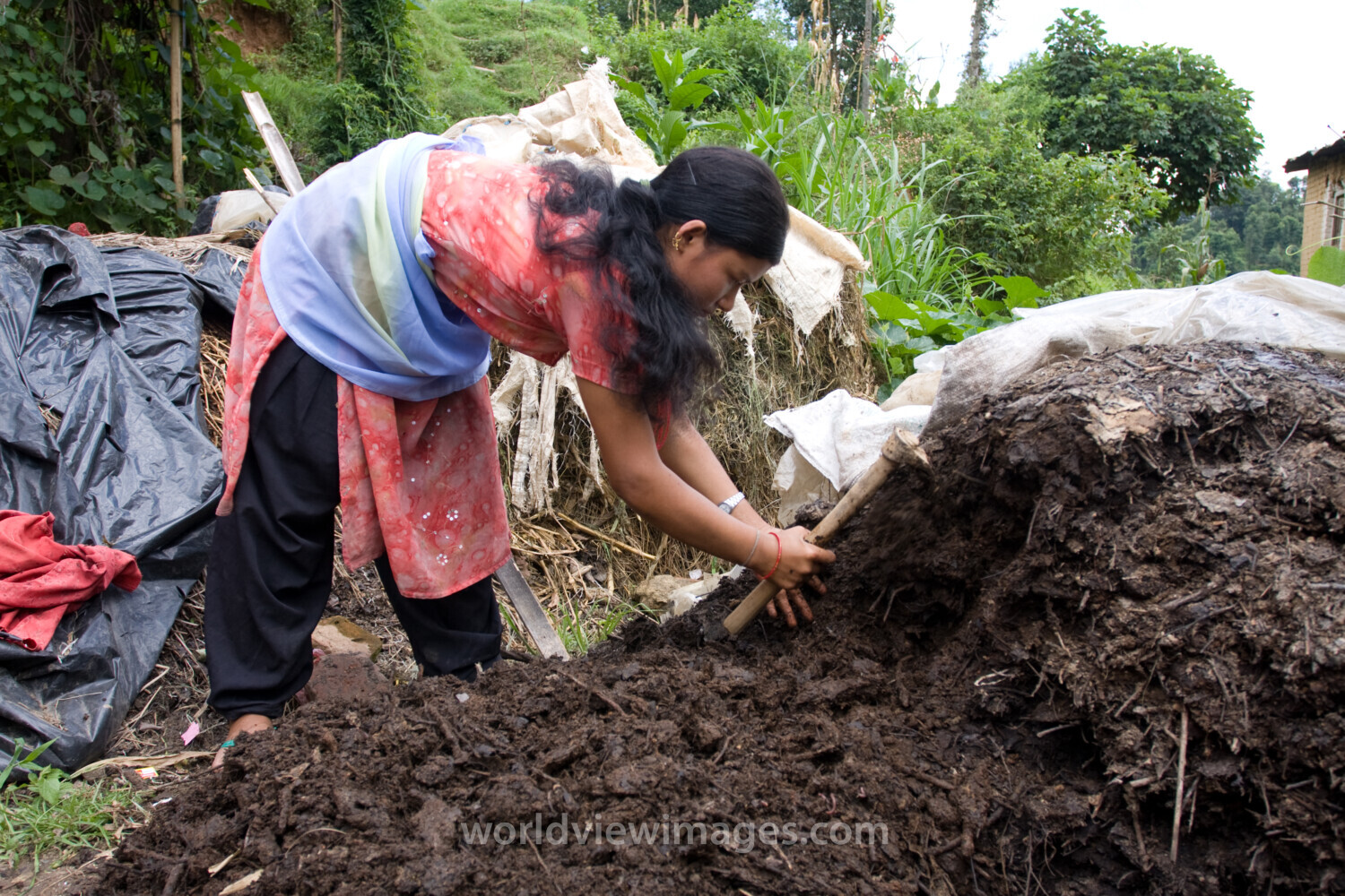 Pot Gardening in Nepal