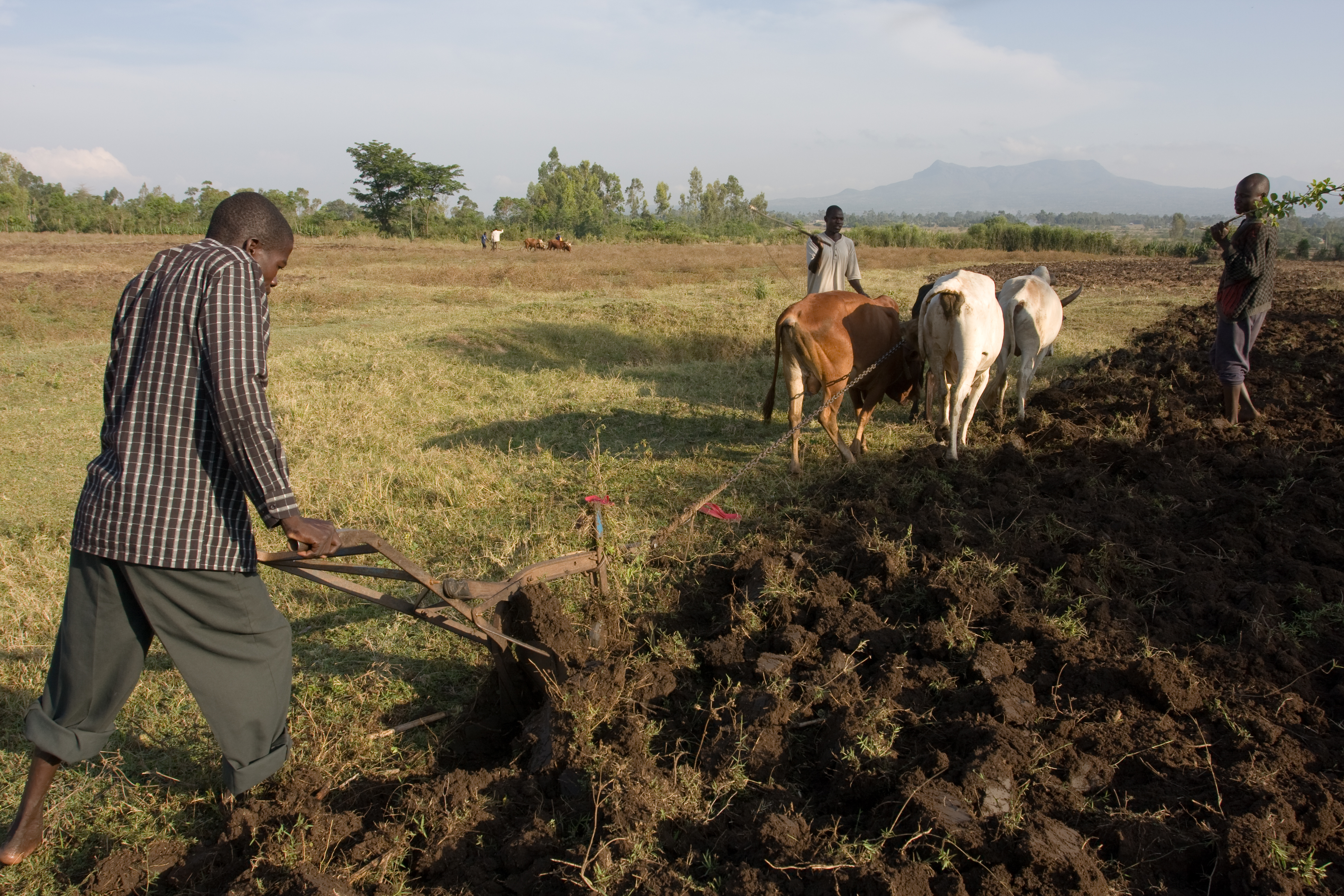 Planting time in Kenya