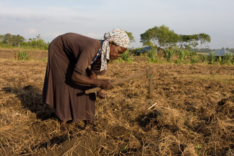 Planting time in Kenya — Farmers in Rural Kenya work in their fields, planting corn. — Africa, Kenya, food, food security, fields