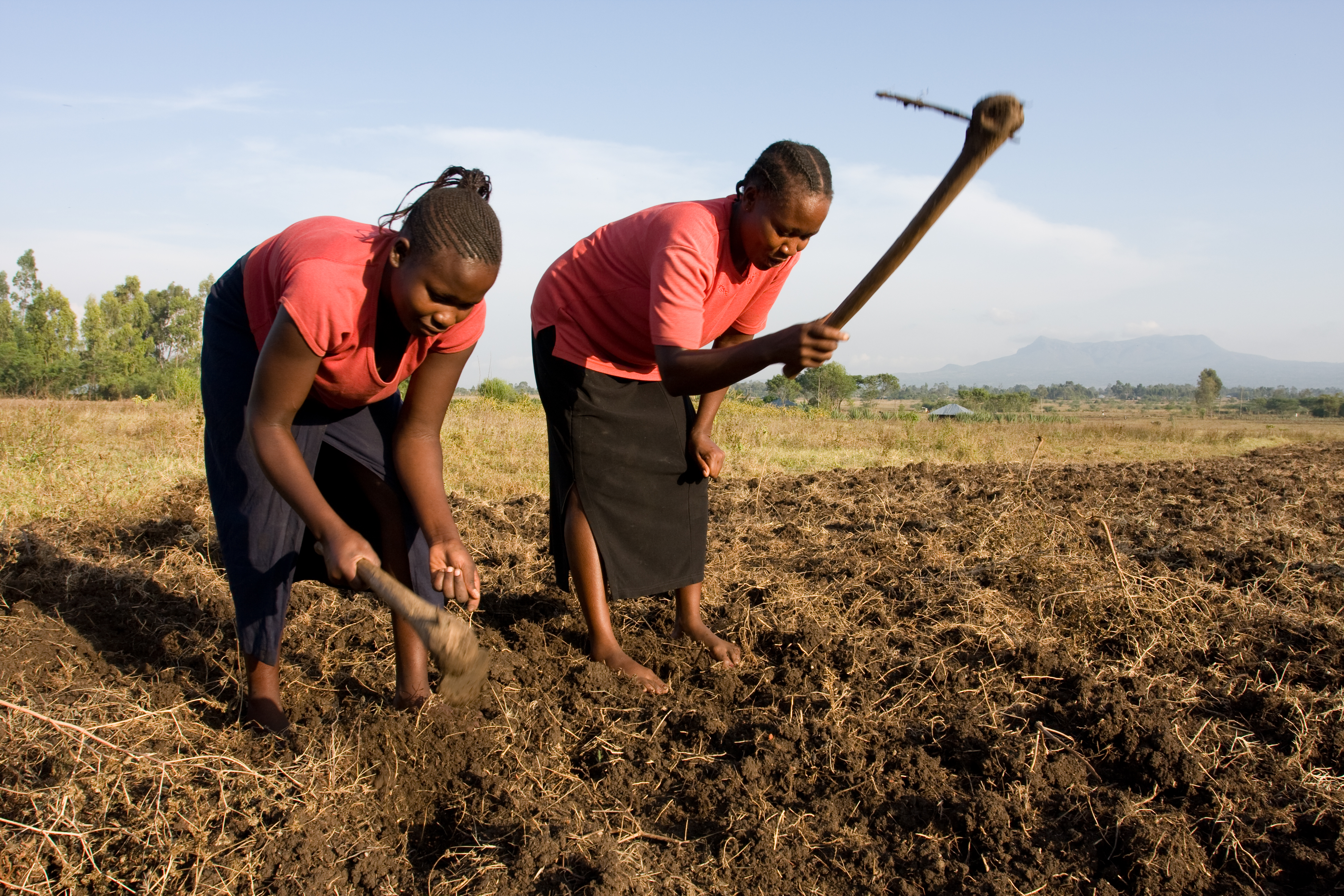 Planting time in Kenya