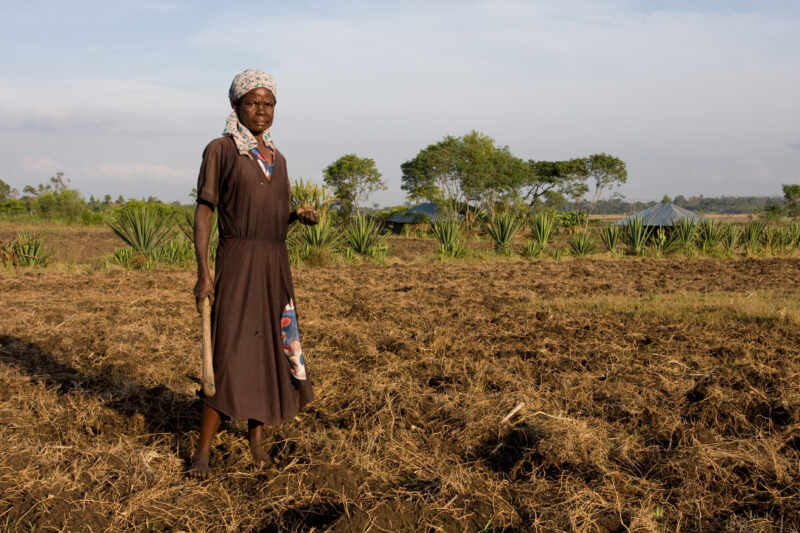 Planting time in Kenya — Farmers in Rural Kenya work in their fields, planting corn. — Africa, Kenya, food, food security, fields