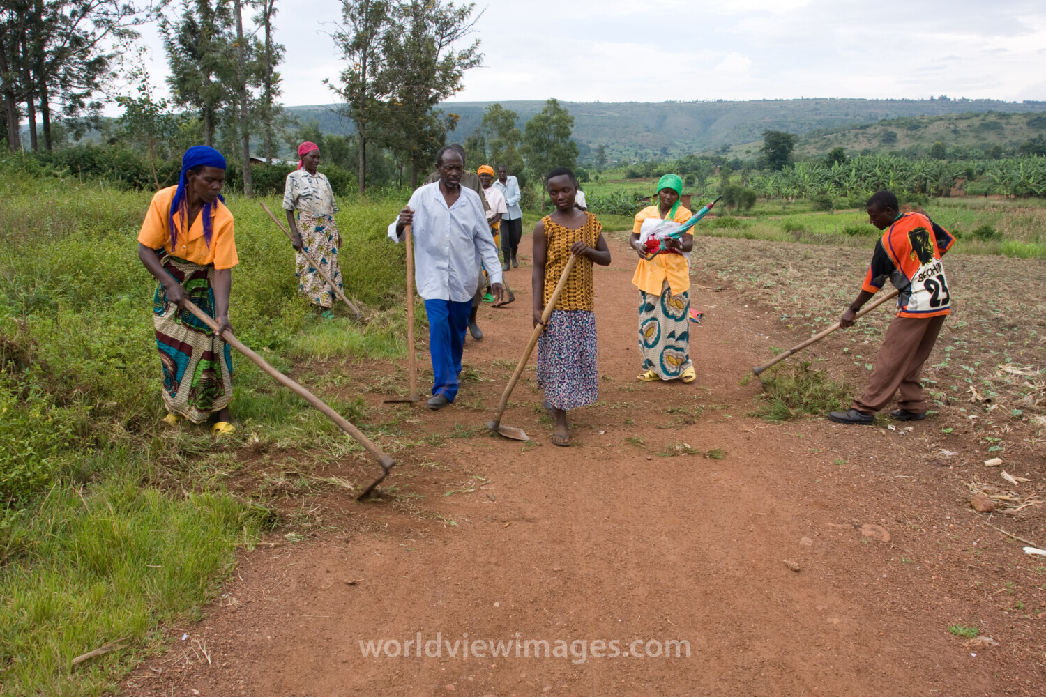 Food for Work in Rwanda