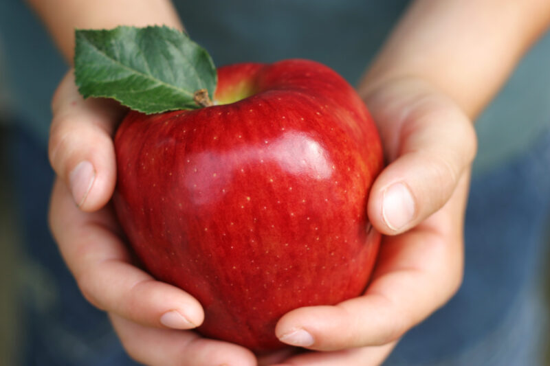 Hands Hold an Apple — Stock image of a boy holding an apple. — apple, Education, Apple for Teacher, hands