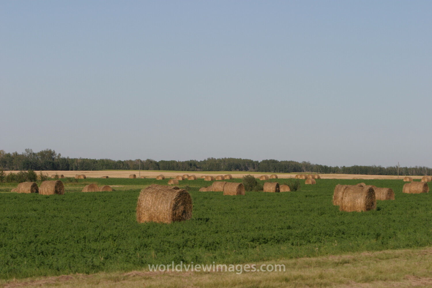 Bales of Hay in Canada