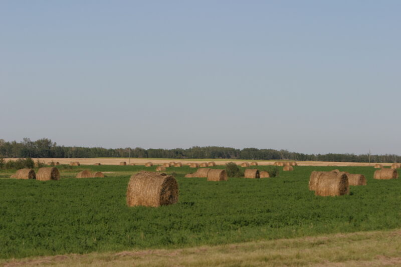 Bales of Hay in Canada — Hay Fields of Alberta, Canada — Canada, Scenic, field, fields, hay