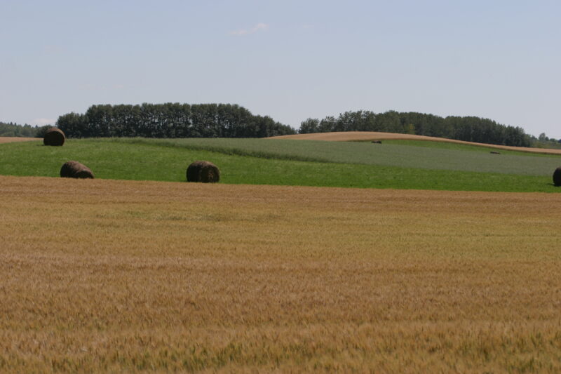 Hay Fields — Canada, Scenic, field, fields, hay