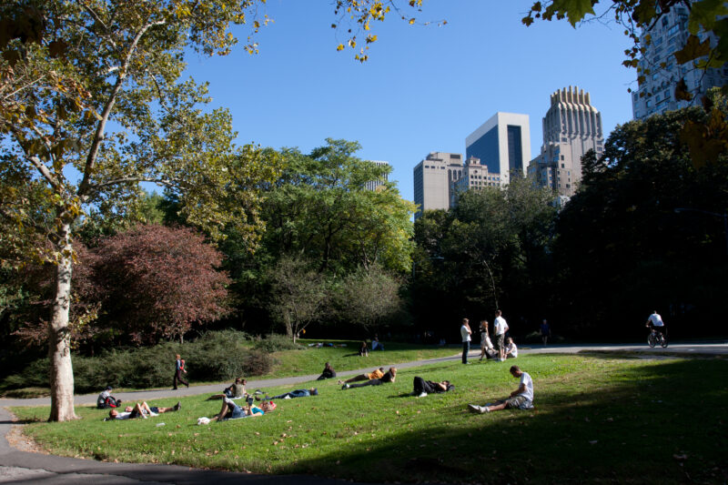 Central Park — USA, United States, America, New York City, Central Park