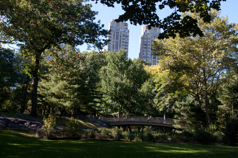 Central Park — USA, United States, America, New York City, Central Park