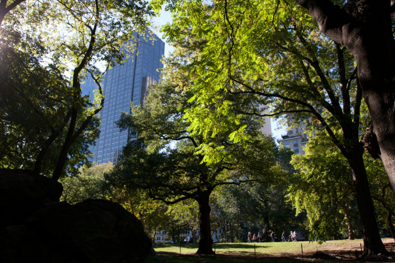 Central Park — USA, United States, America, New York City, Central Park