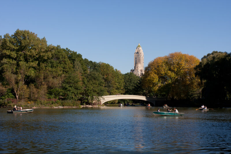 Central Park — USA, United States, America, New York City, Central Park