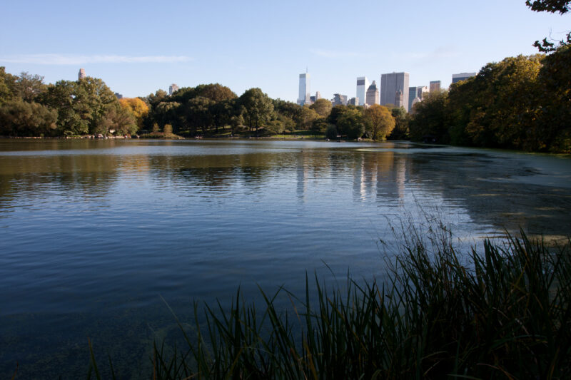 Central Park — USA, United States, America, New York City, Central Park