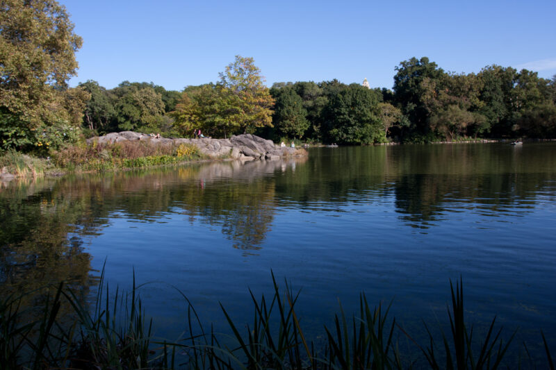 Central Park — USA, United States, America, New York City, Central Park