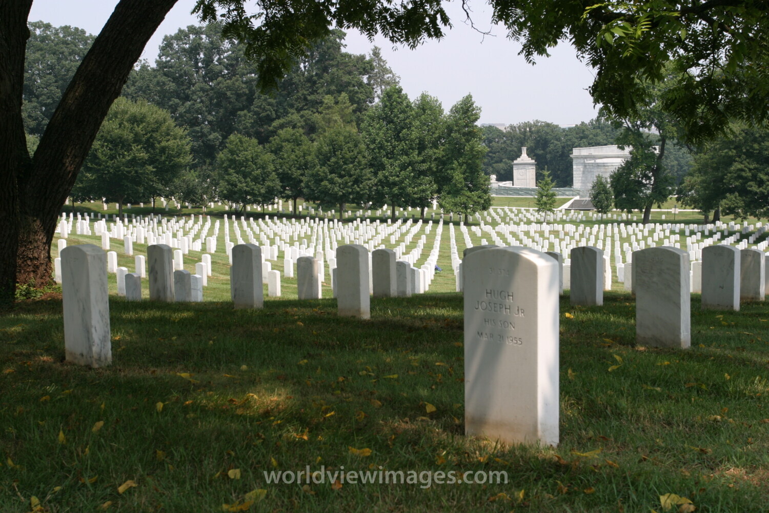 Arlington National Cemetery