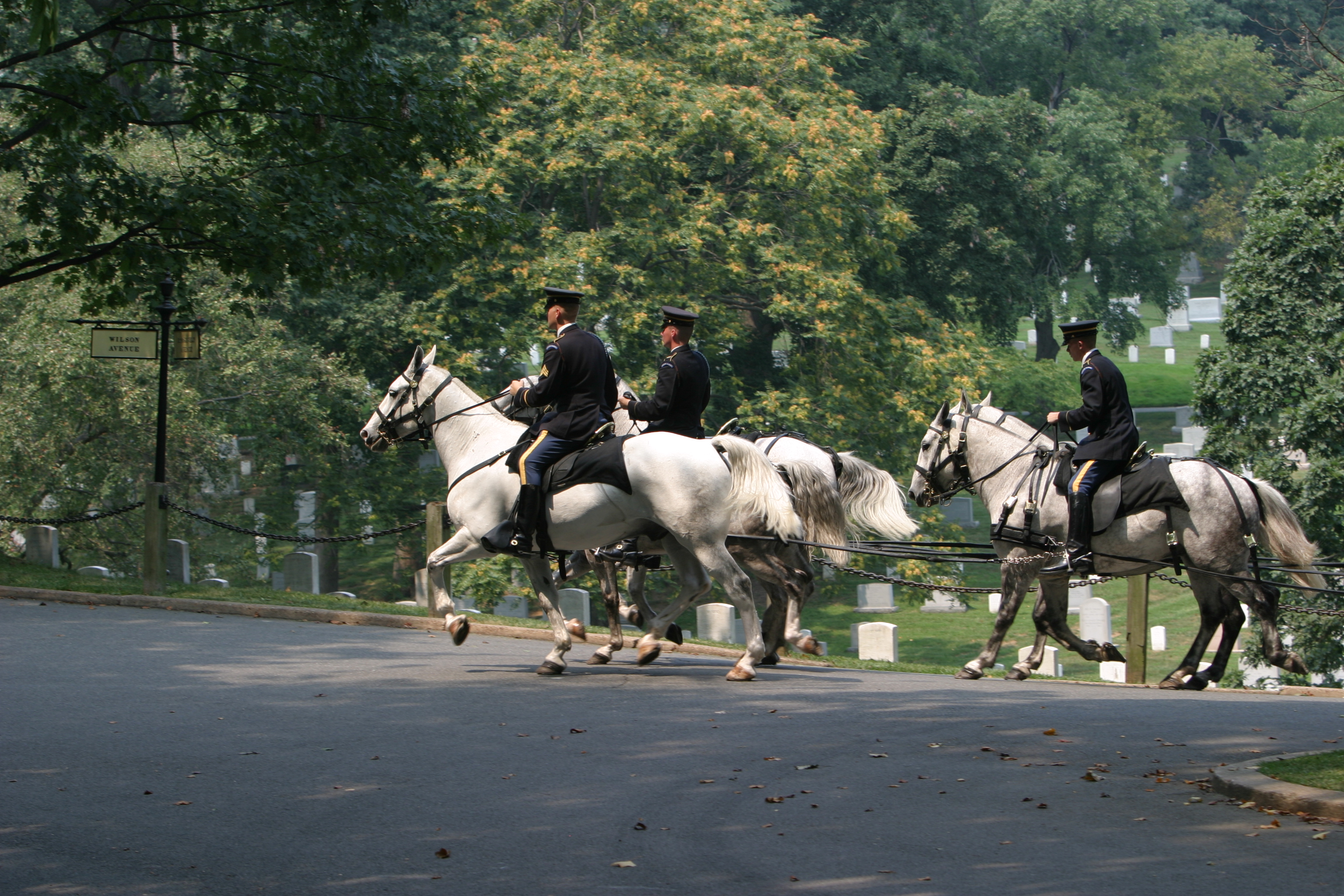Arlington National Cemetery